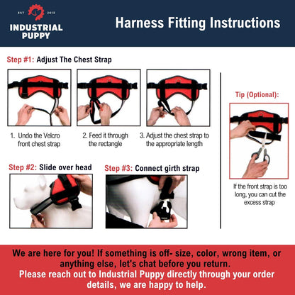 Service Dog in Training Vest Harness, Small 19.5-25 in Red | Durable & Adjustable Vest for Dog with Reflective Straps, Removable Patches, Handle & D-Ring, Travel and Daily Use