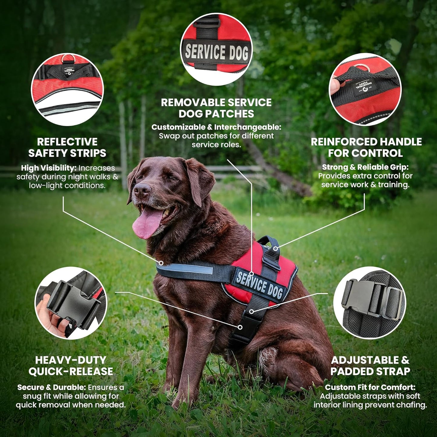 Service Dog in Training Vest Harness, Small 19.5-25 in Red | Durable & Adjustable Vest for Dog with Reflective Straps, Removable Patches, Handle & D-Ring, Travel and Daily Use