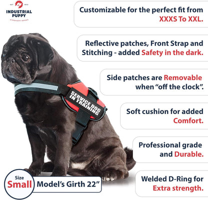 Service Dog in Training Vest Harness, Small 19.5-25 in Red | Durable & Adjustable Vest for Dog with Reflective Straps, Removable Patches, Handle & D-Ring, Travel and Daily Use