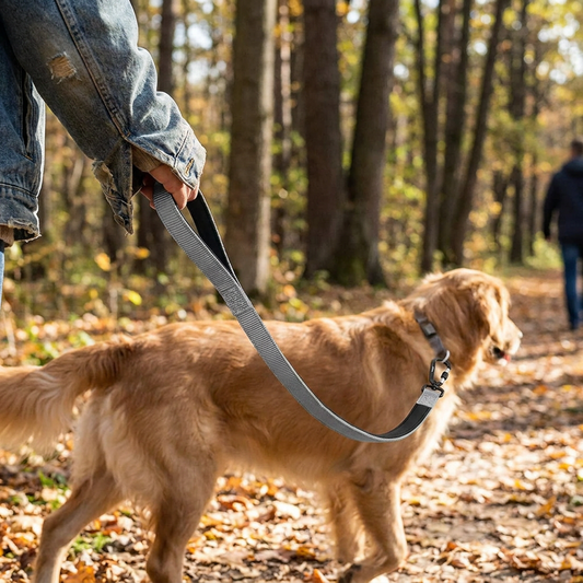 Heavy-Duty Short Dog Leash lifestyle