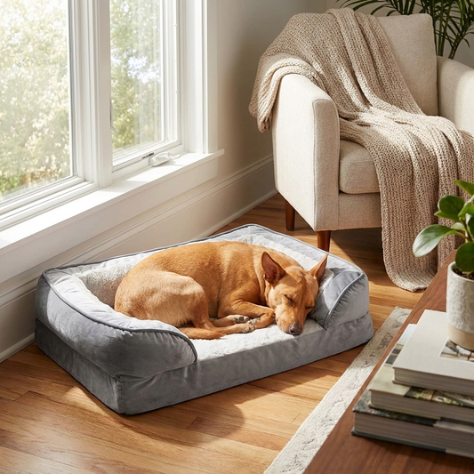 Orthopedic Dog Bed Granite Gray lifestyle