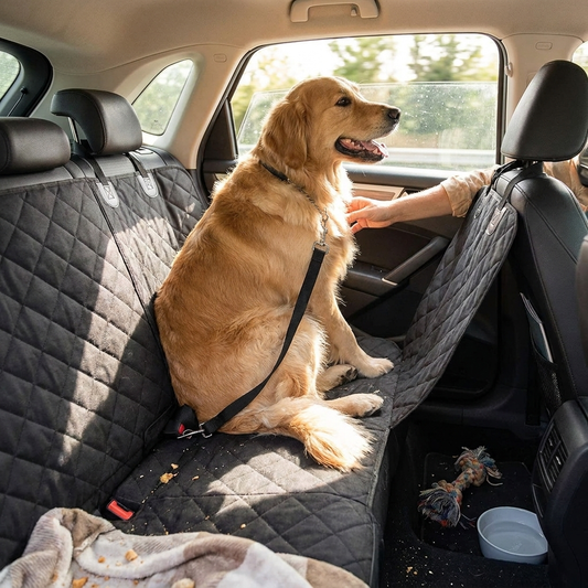 Dog Car Seat Cover Black lifestyle